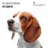 EQUILIBRIO PERROS ADULTOS RAZAS PEQUEÑAS 2KG
