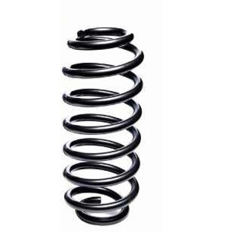 ESPIRAL TRASERO BORA Espiral Trasero Bora