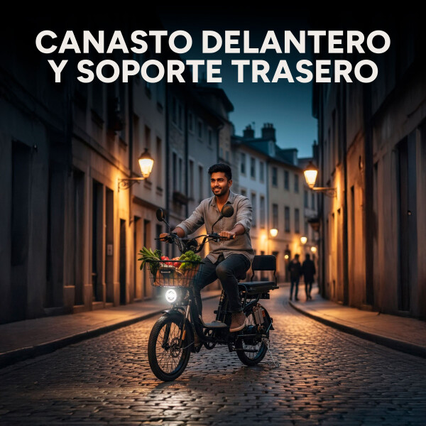 Bicicleta Electrica GoGreen Delivery R20 350w Bateria 26Ah Color Negro