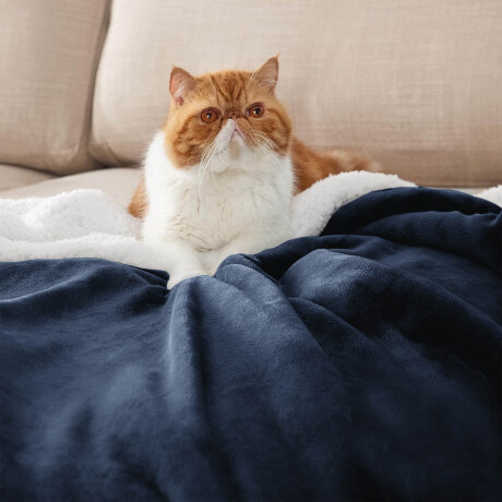 Frazada X2 Manta Polar 2 Plazas C/corderito 200x230cm Azul