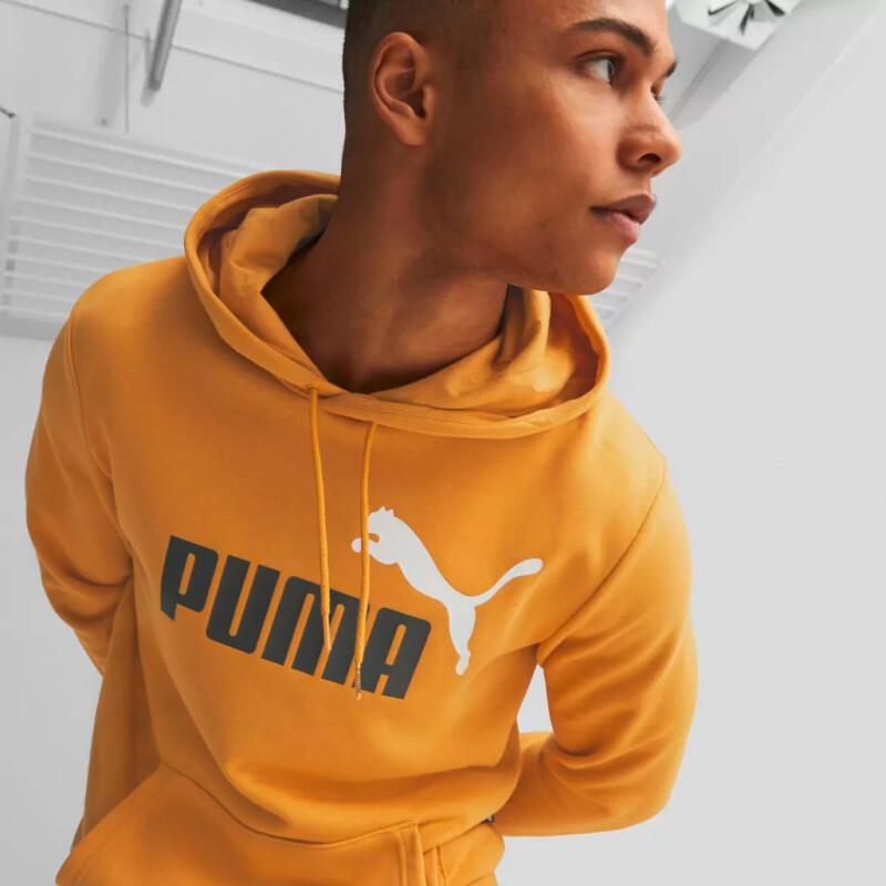 M ESS+2 COLOR BIG LOGO HOODIE TR Crema