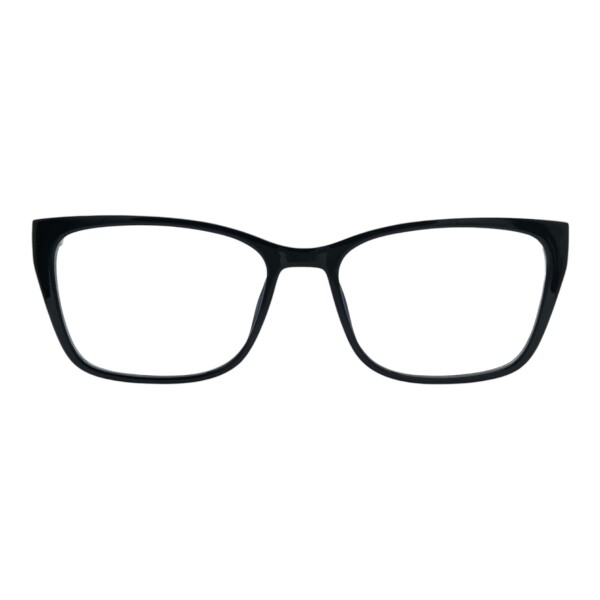 CT015420 negrouniforme