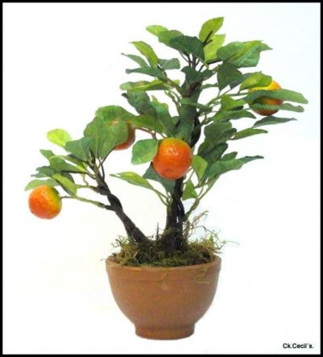 BONSAI FRUTAL EN VASIJA NARANJA 