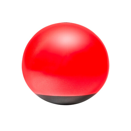 Pelota de Pilates Reebok 65 cm Rojo/Negro