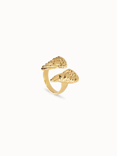 ANILLOS