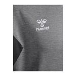 BUZO AUTHENTIC PL HOODIE UNISEX GRIS