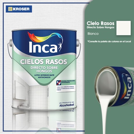 CIELOS RASOS DIRECTO SOBRE HONGOS BLANCO 20L INCA ++ N/a