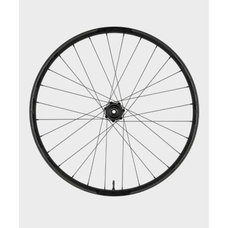 Rueda Raceface Turbine 30 15x110 29 Delantera Rueda Raceface Turbine 30 15x110 29 Delantera