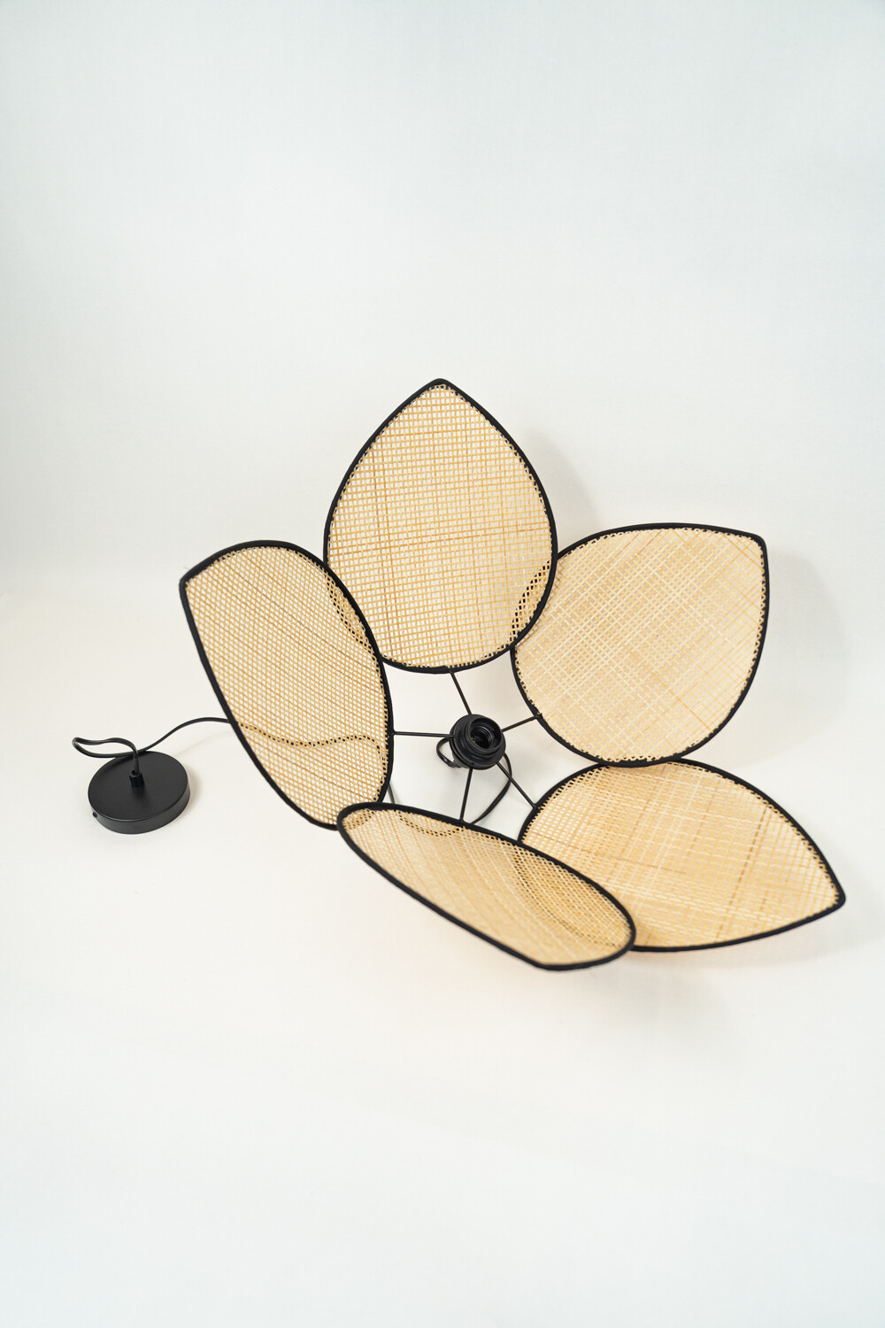 Lampra De Techo Laredo Color Unico