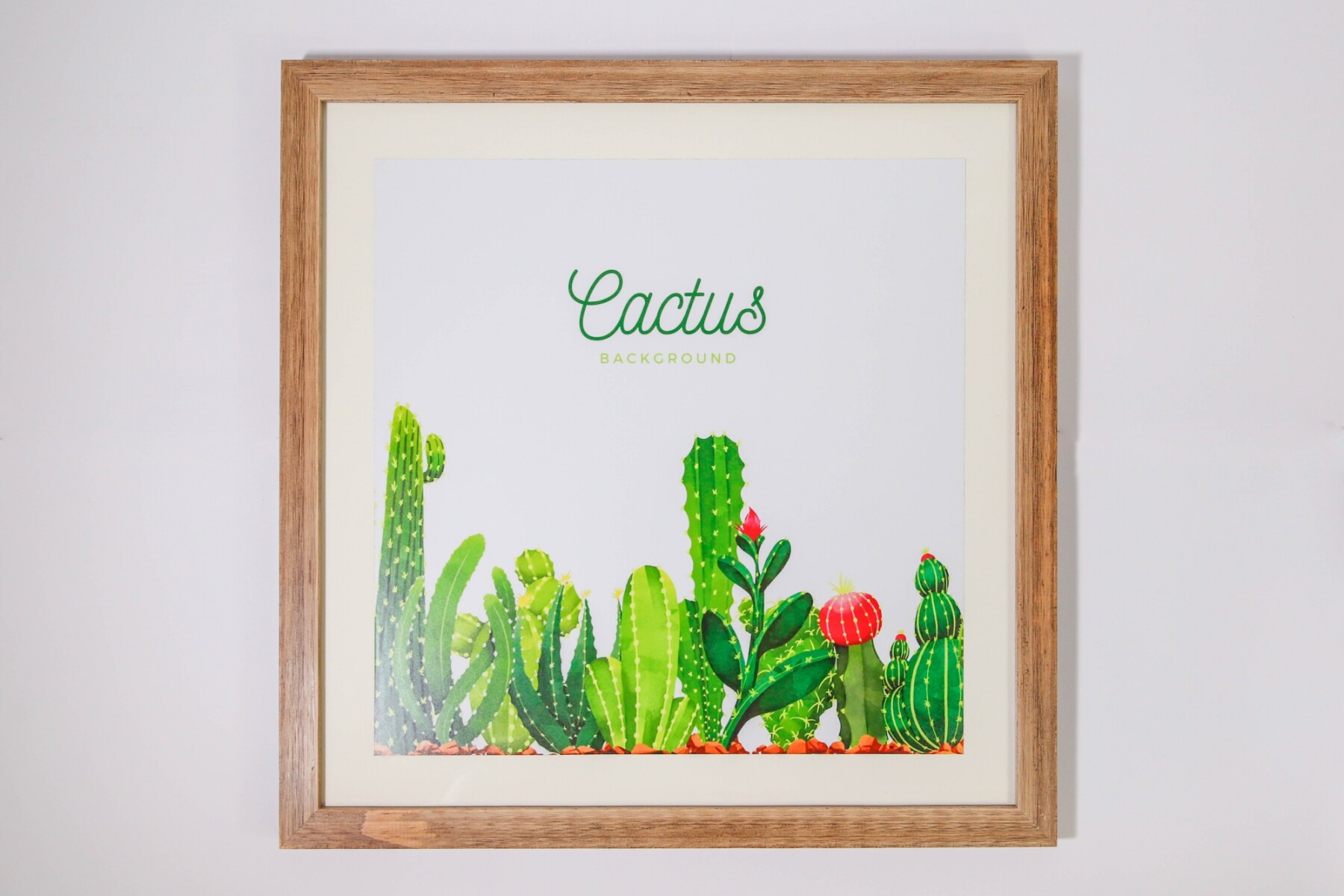 Cuadro cactus 
