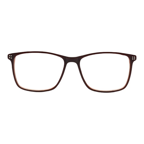 OI307233 marróncombinado