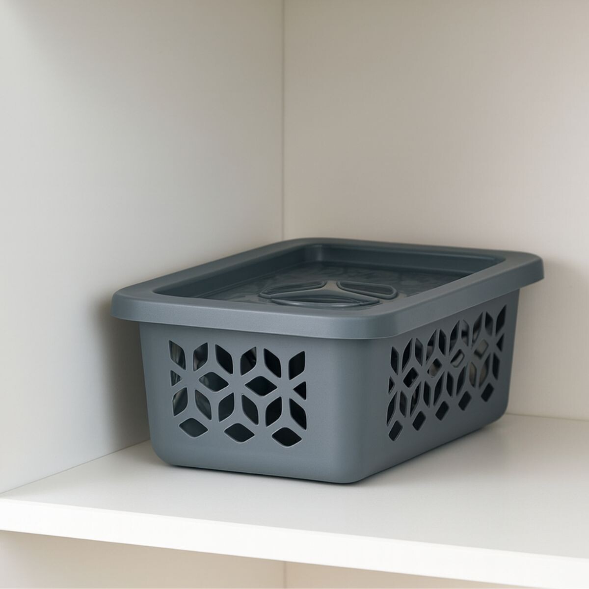 Caja organizadora P con tapa - GRIS 