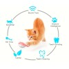 Juguete Interactivo Para Gato - Pez Globo Con Hierba Gatera Juguete Interactivo Para Gato - Pez Globo Con Hierba Gatera
