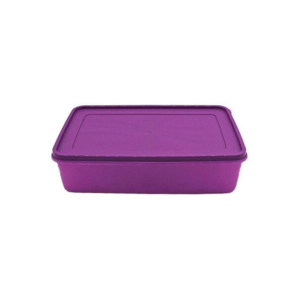 RECIPIENTE RECTANGULAR 2 RECIPIENTE RECTANGULAR 2