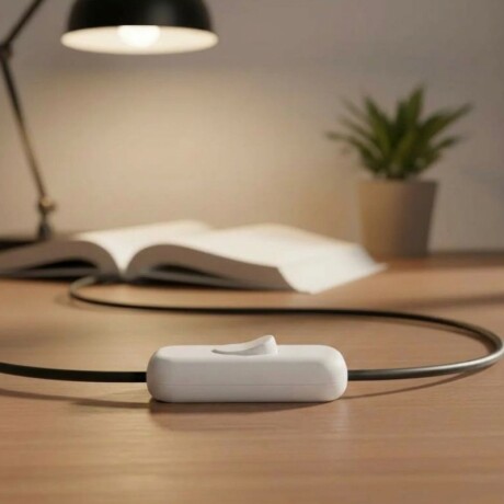 FICHA INTERRUPTOR DE PASE Ficha Interruptor de Pase Blanca