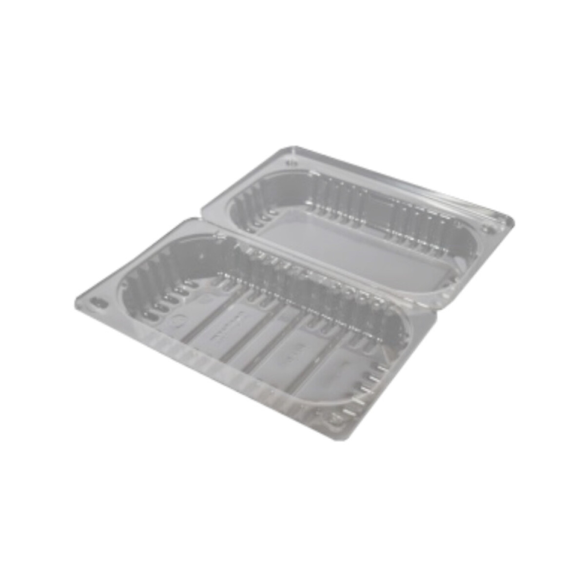 BLISTER CRISTAL CON TAPA BISAGRA 19X12X6 CM. 