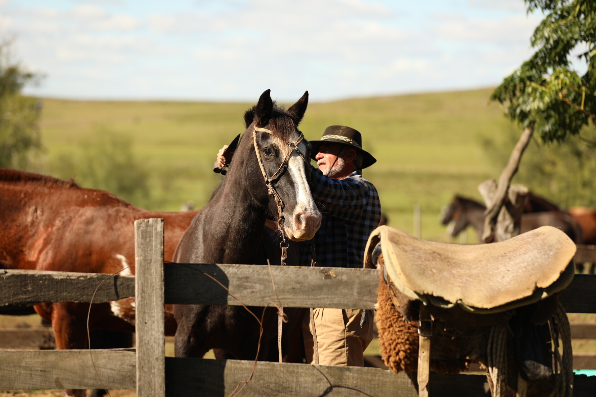 Bombachas de Campo vs Pantalones Cargo: ¿cuál elegir para trabajar duro en el campo?