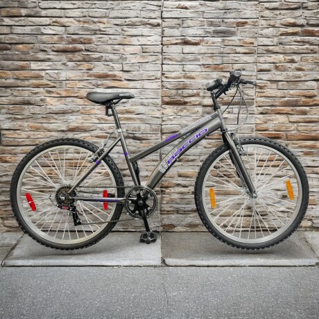 Bicicleta Baccio Alpina Lady Montaña rodado 26 con 6 cambios GRIS