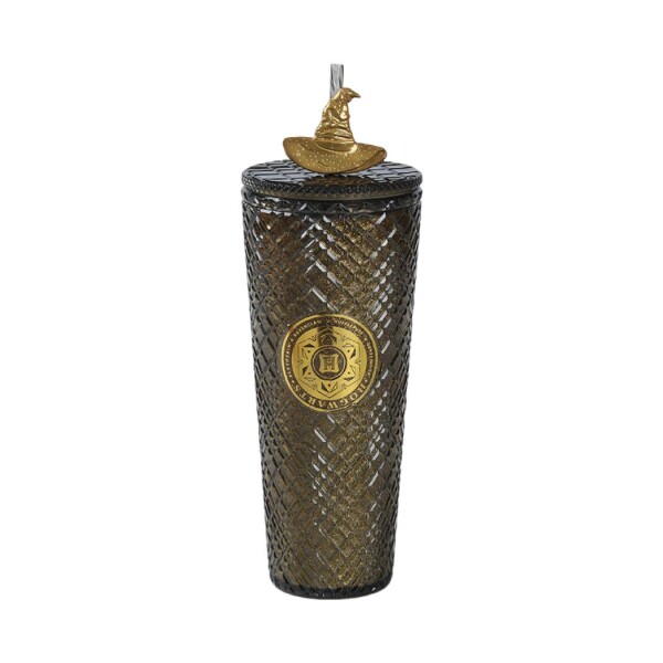 Vaso plástico Harry Potter 750ml Vaso plástico Harry Potter 750ml