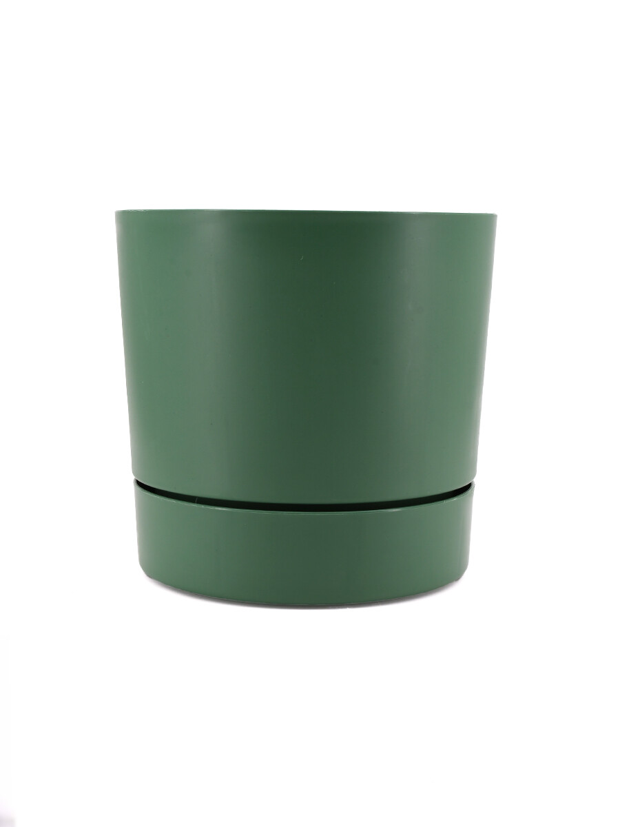 MACETA BEGONIA - VERDE 