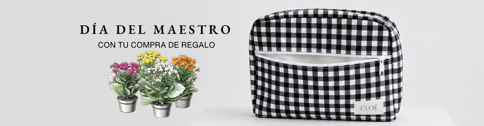 dia del maestro