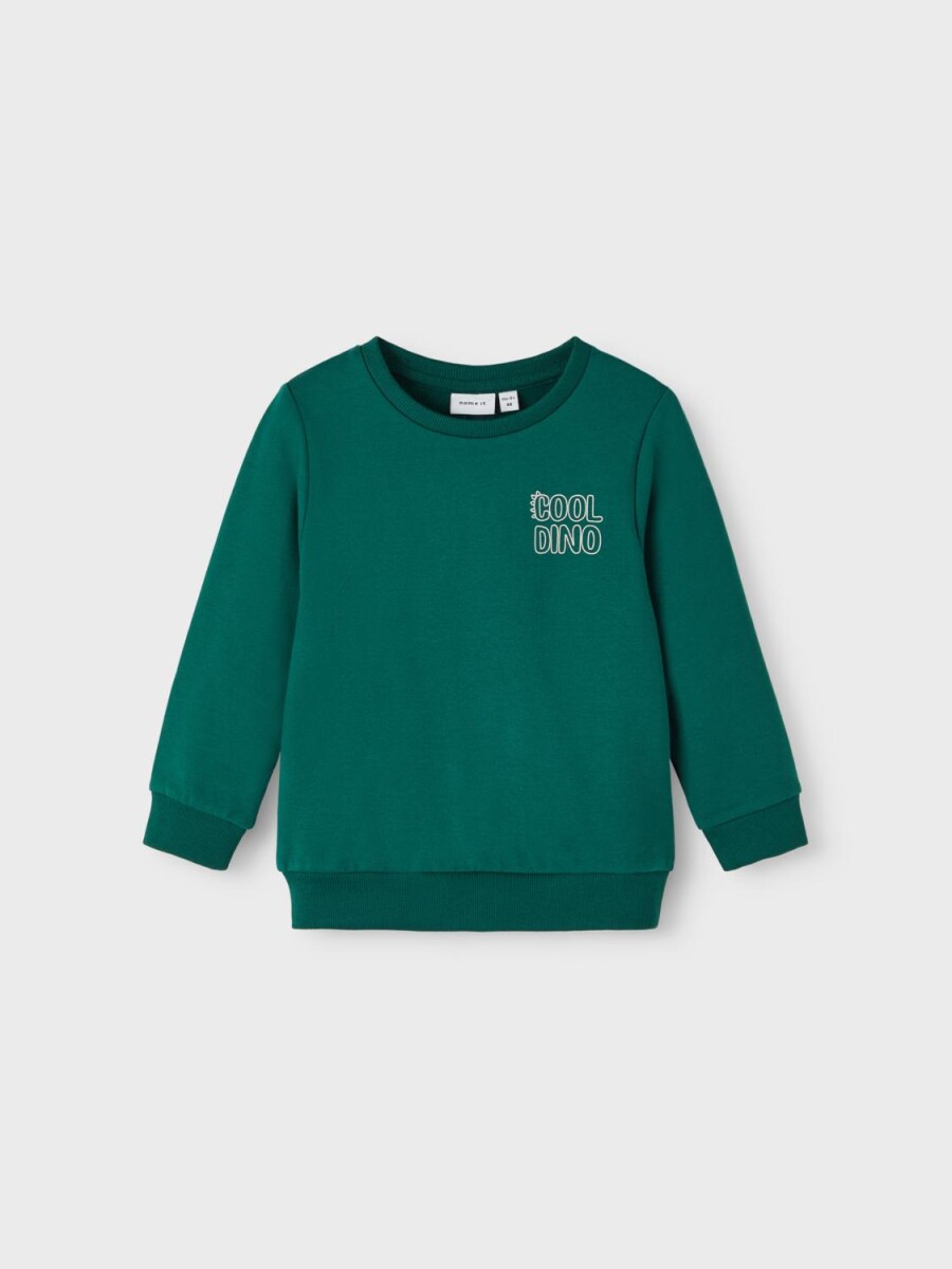 Sudadera Toms - Forest Biome 