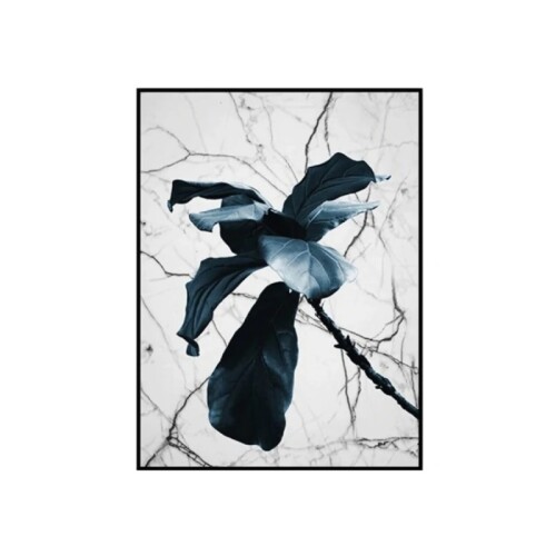 Cuadro Canvas 30x40cm - Negra Flor Cuadro Canvas 30x40cm - Negra Flor
