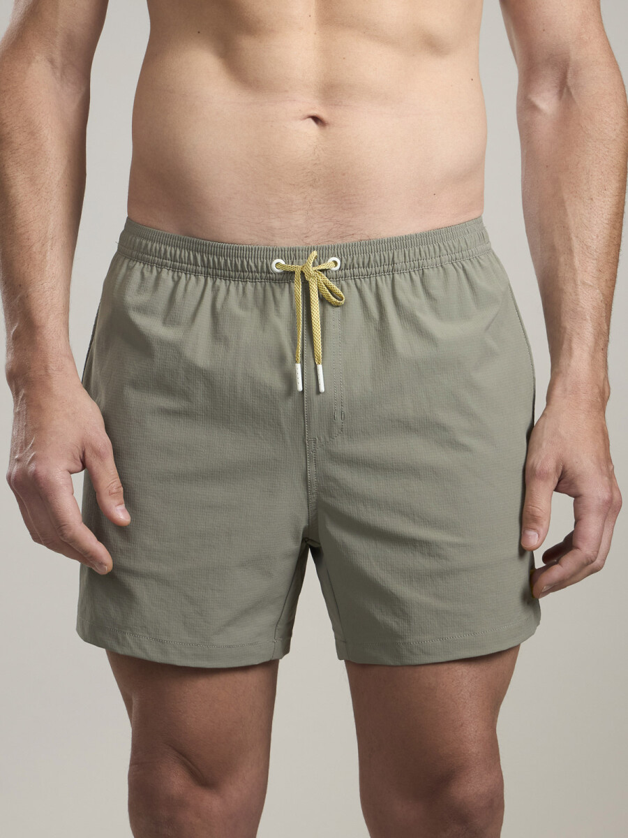 SHORT TORTOISE 8.0 - AVAGREEN 