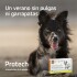 PROTECH PIPETA ANTIPULGAS Y GARRAPATAS CON ACCIÓN AMBIENTAL PARA PERROS DE 26 A 40 KG