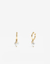 Aros Argollas Perla Argollas De Acero Con Perla - Dorado