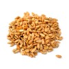 SEMILLAS DE GIRASOL TOSTADAS 100g Girasol Tostado