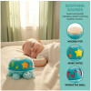 Tortuga Musical Hape Twist & Tune Tortuga Musical Hape Twist & Tune