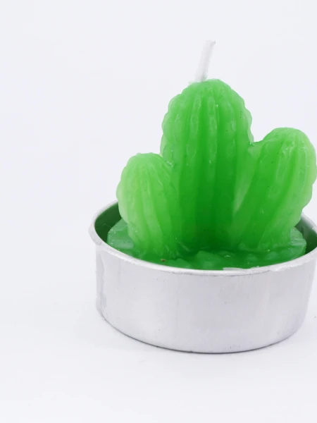 SUCULENTA VELA VARIOS CACTUS VERDE