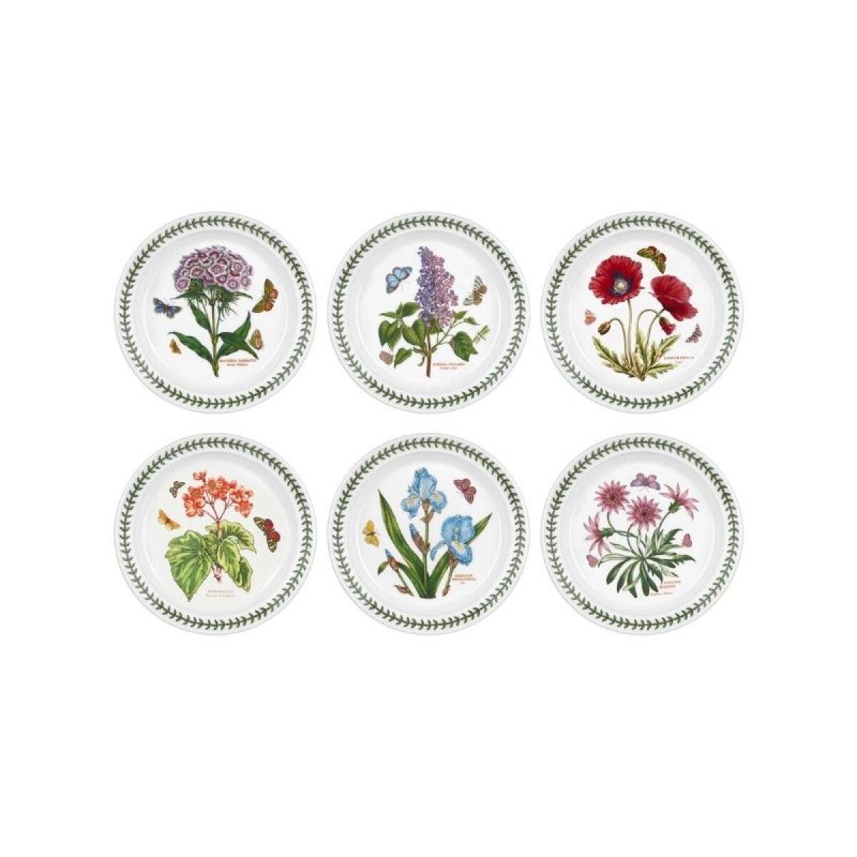 PORTMEIRION BOT GARDEN PLATO POSTRE 20 CM SET x 6 