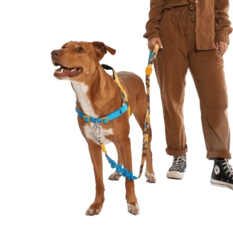 Arnes Soft Walker Mascota Wolverine ZeeDog - Talle S Arnes Soft Walker Mascota Wolverine ZeeDog - Talle S