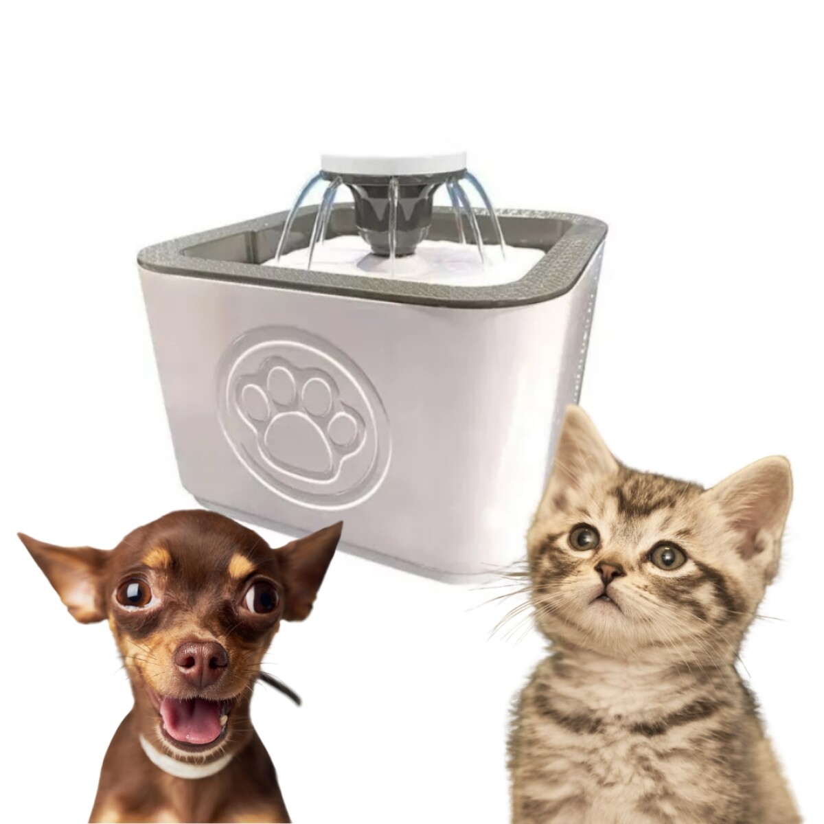 Fuente De Agua Para Mascotas 