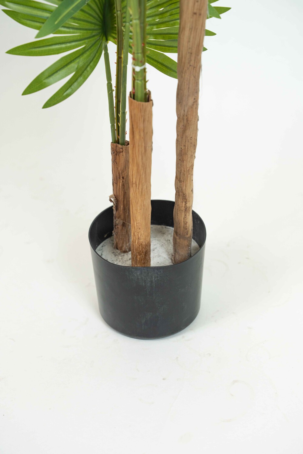 Planta Palma Con Maceta Color Unico