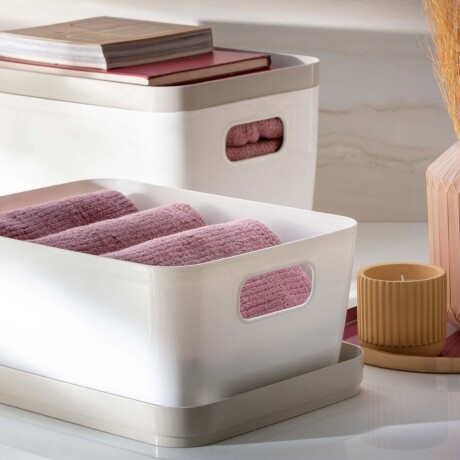 Cesto Organizador c/Tapa Idealle Canasto Plástico 27x18x12Cm Gris