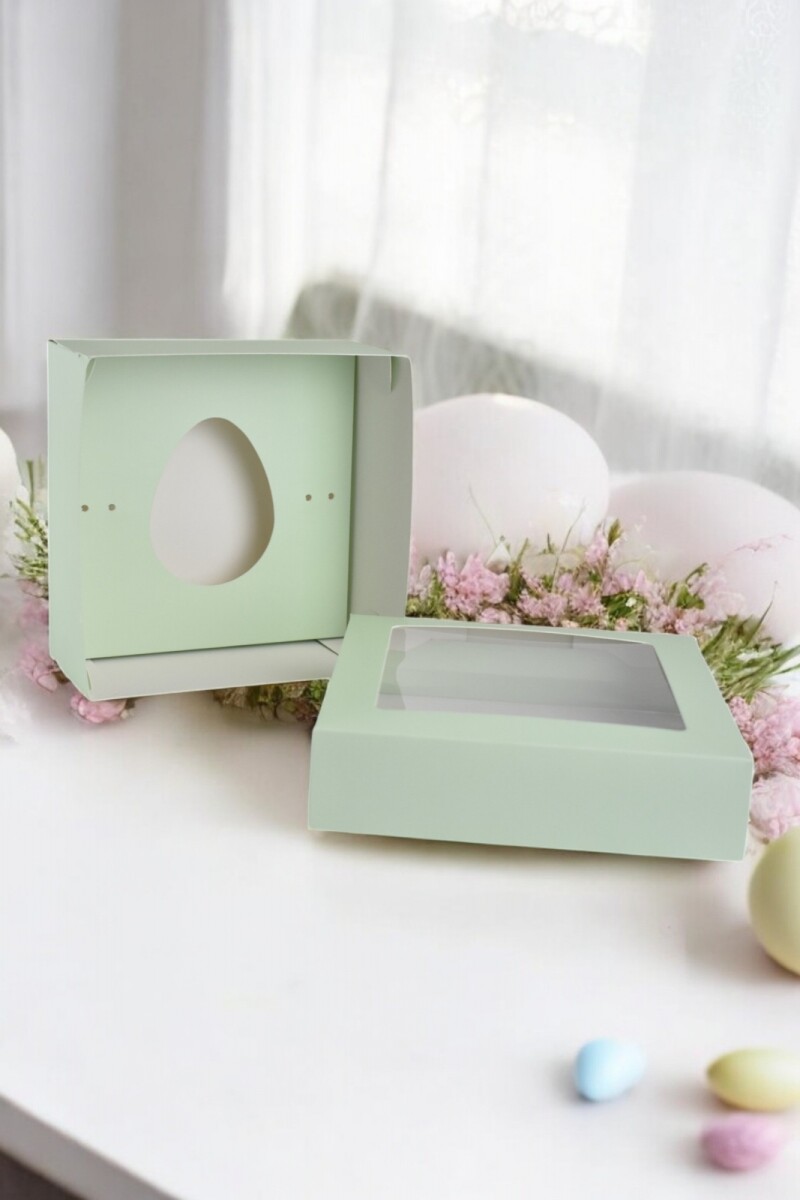 Caja 20x20x9,5 c/visor. - VERDE AGUA 