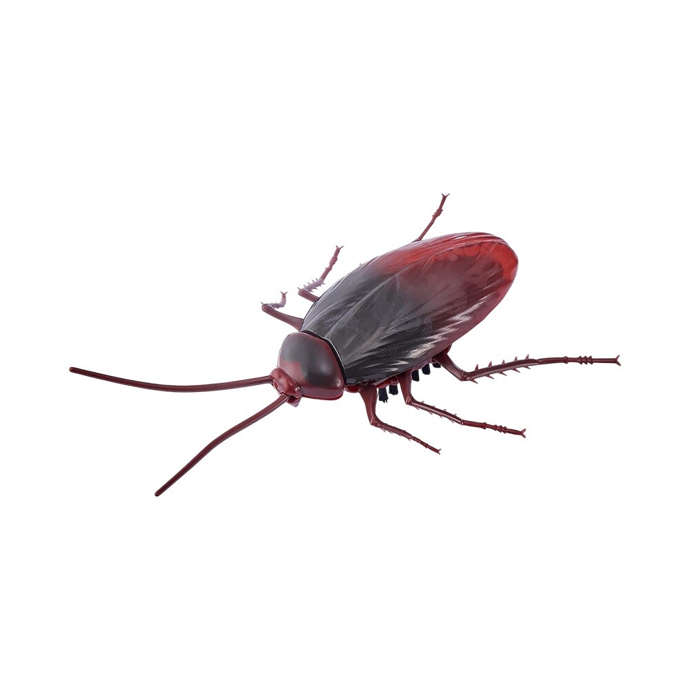 Cucaracha Robótica ZURU Robo Alive Crawling Cockroach ROBO ALIVE CUCARACHA