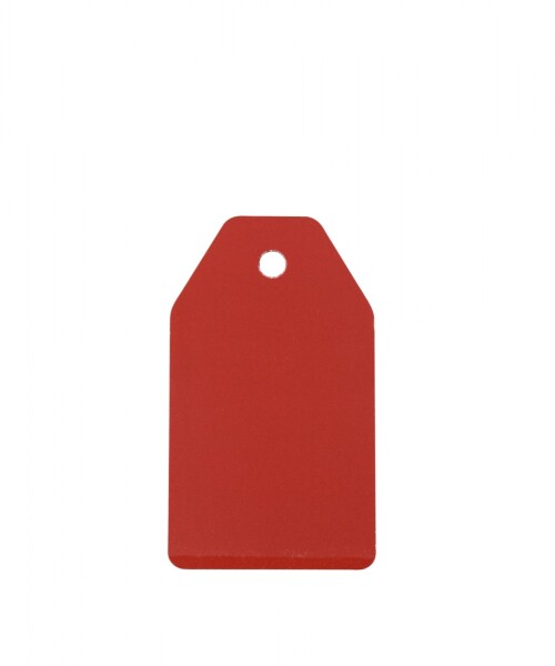 Tag rectangular liso 5x8,5 ROJO