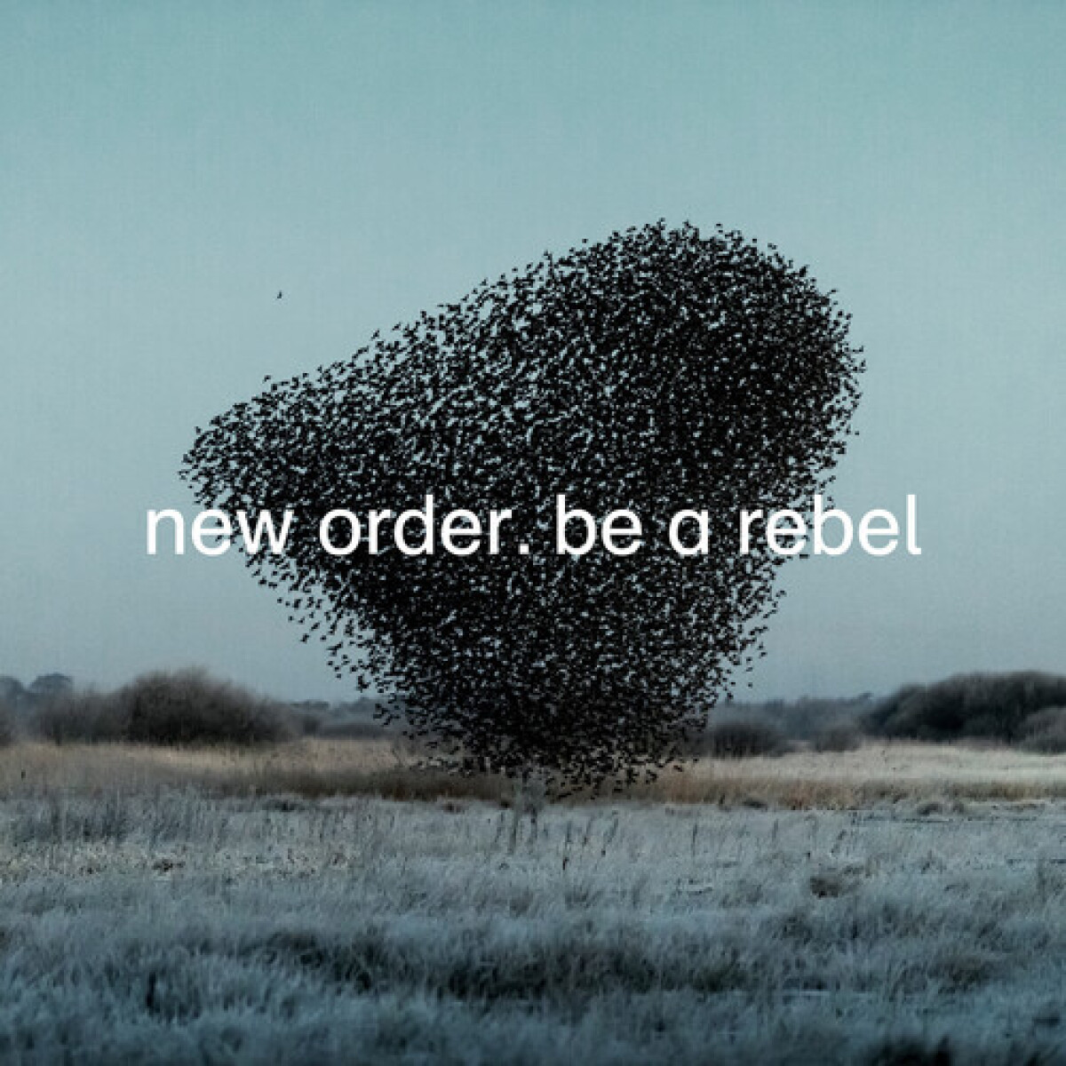 (l) New Order - Be A Rebel - Vinilo 