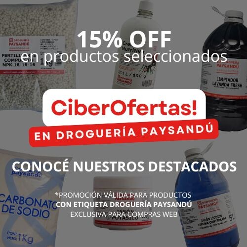 CIBER OFERTAS DESTACADOS