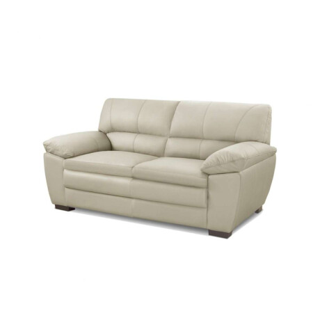 Sillon 100% Cuero 2 Cuerpos Premium Arena