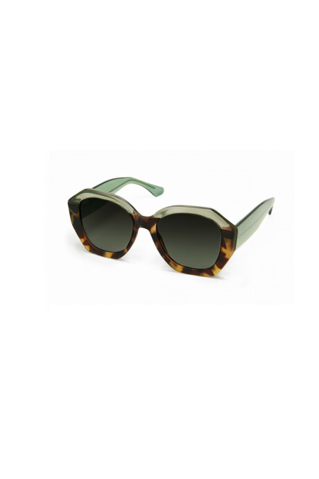 Lentes Tiwi Vega Bicolour Shiny Green With Green Gradient Lenses