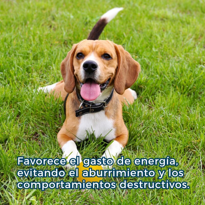 PELOTA MACIZA PARA PERROS 8.5 CM PELOTA MACIZA PARA PERROS 8.5 CM