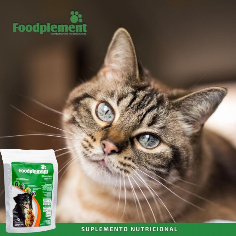 FOODPLEMENT SOBRE DE 100 G FOODPLEMENT SOBRE DE 100 G