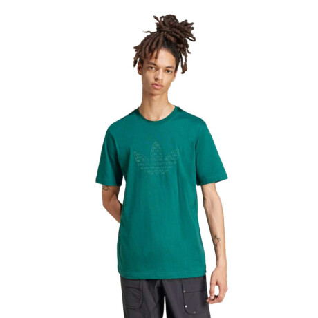 Remera Adidas Q12 Monogram Verde