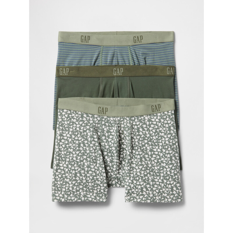 V-3PK BOXER BRIEFS THYME 19-0309 TCX