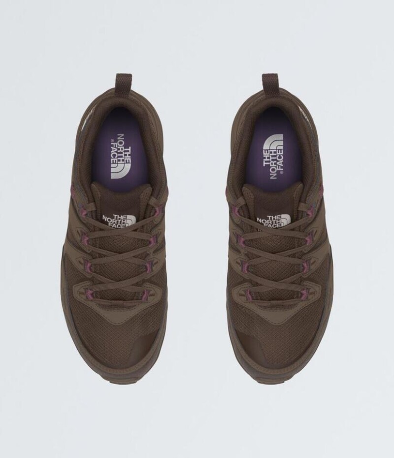 Championes Hedgehog 3 mujer Smokey Brown/demitasse